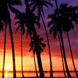 Meet your Posher, Diego